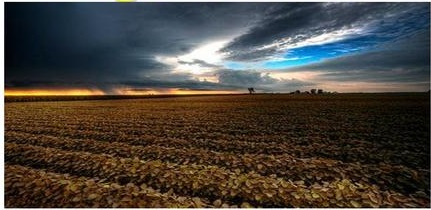 Agriculture Hearths