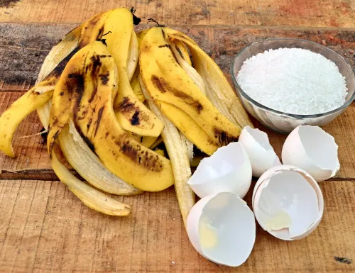 Eggshells As Fertilizer
