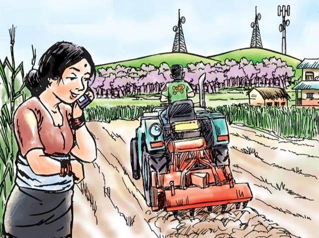 Commercial Farming