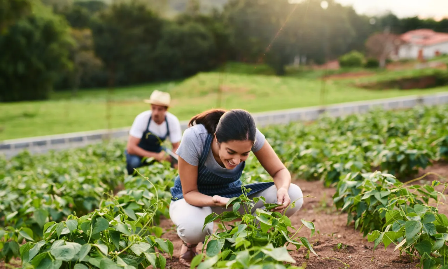 Current Events In Agriculture Food