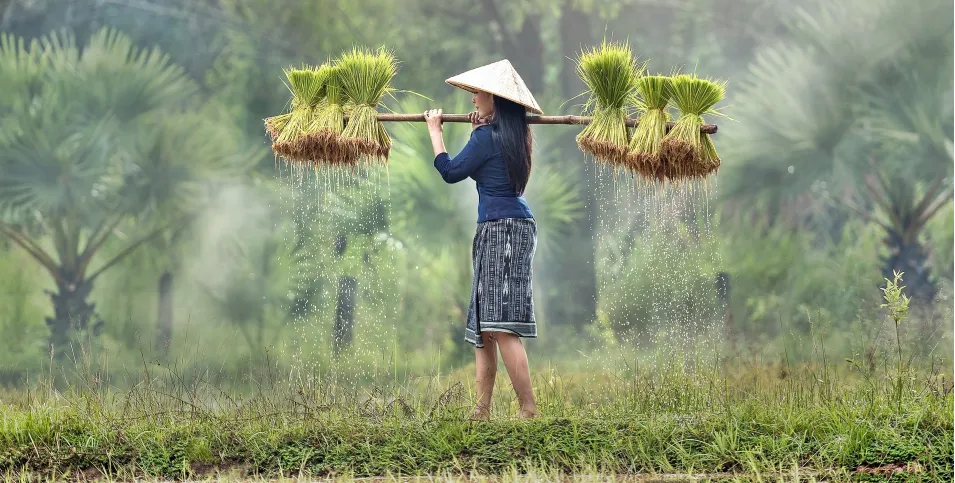 Defenition of Agriculture