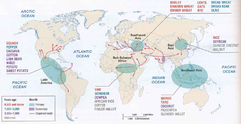 Major Agricultural Hearths