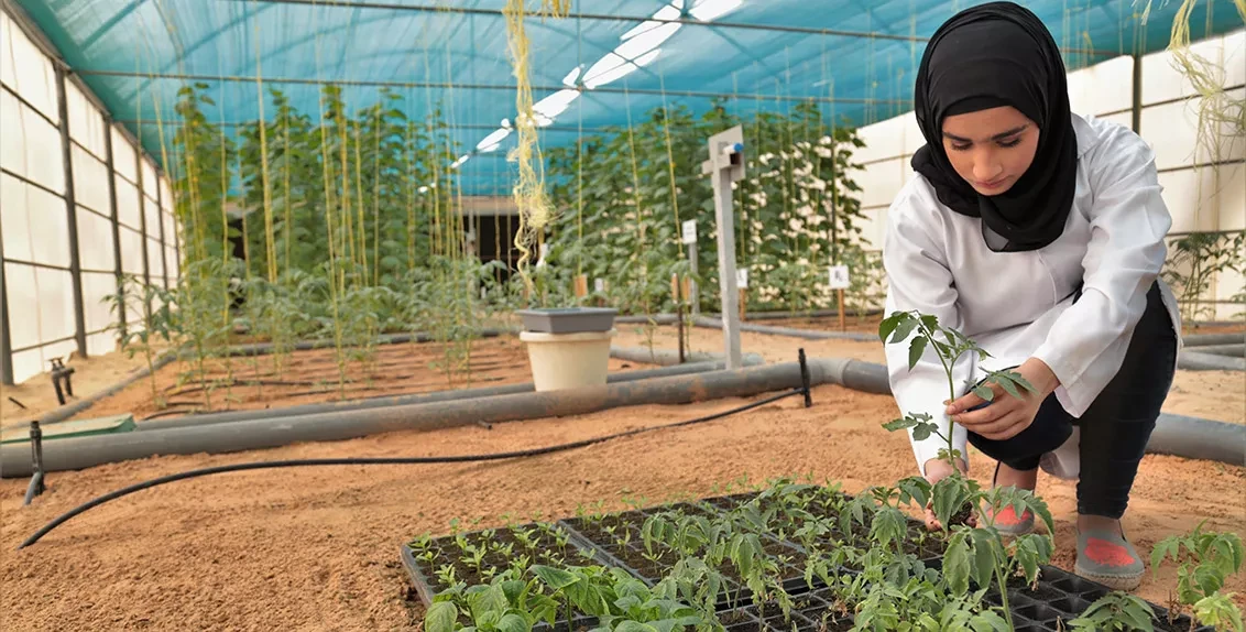O Farming In Dubai