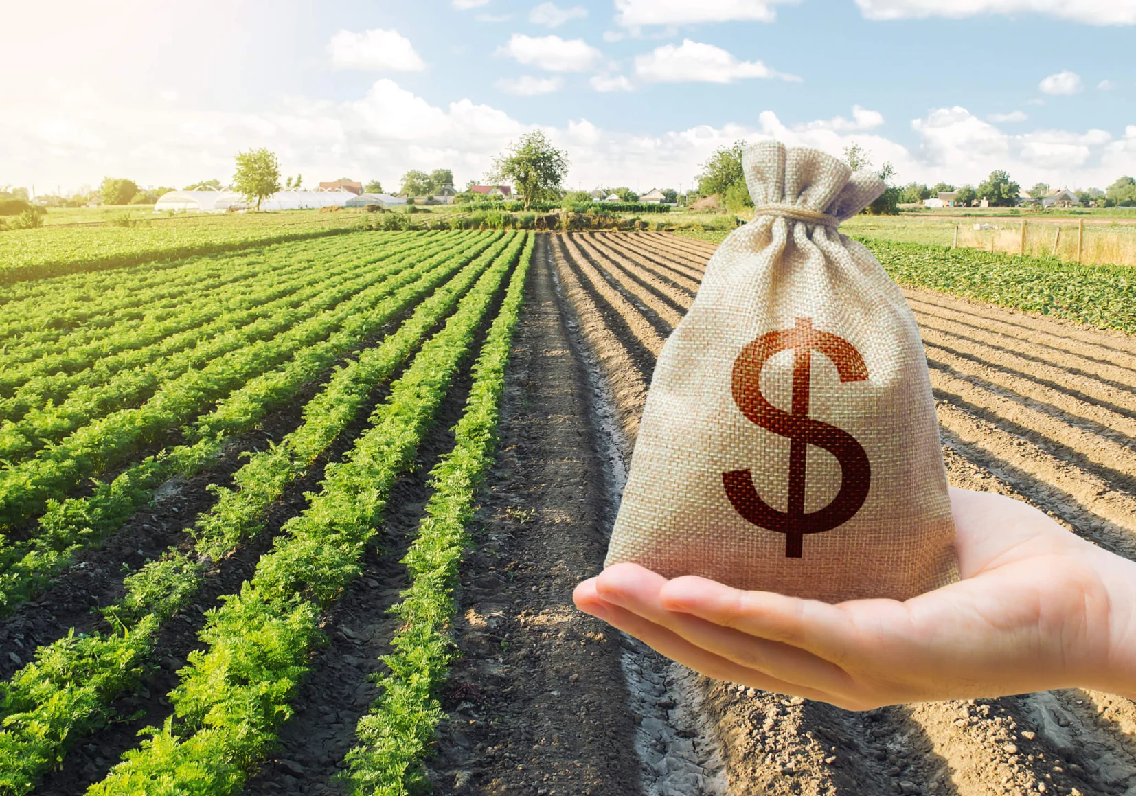 O Farming Investing