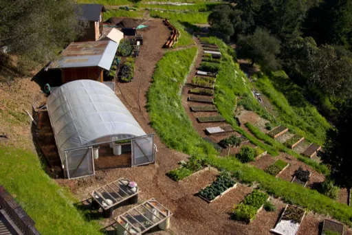 Biodynamic Farming