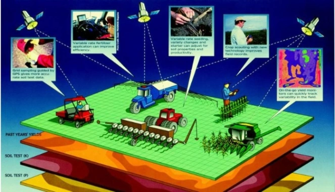 Motorized Mechanization Adoption Trends