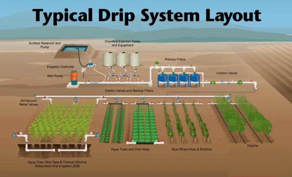 Setting Up Your Drip System