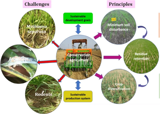 What Is Conservation Agriculture