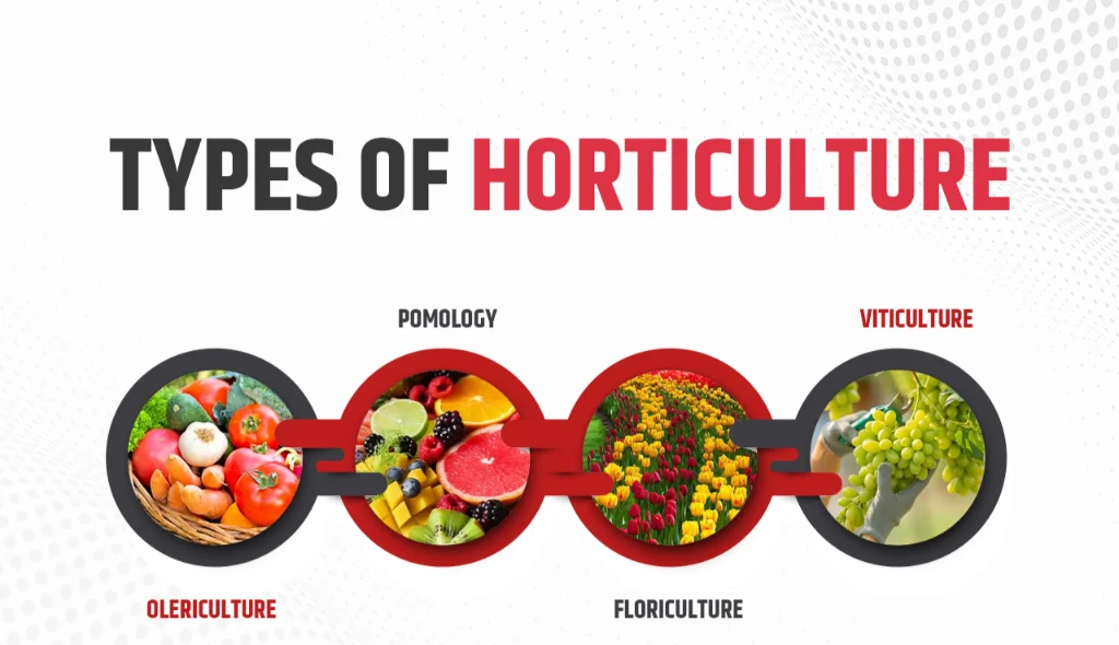 Types Of Horticulture