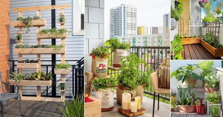 Balcony Planters