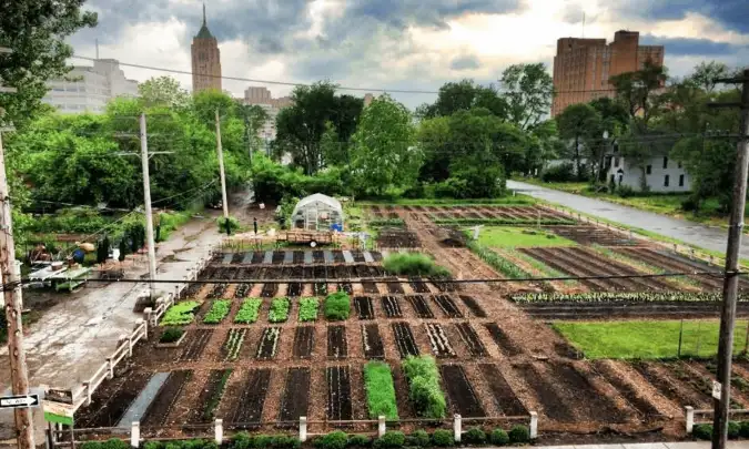 Community Gardens