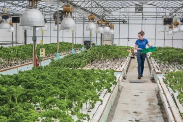 Aquaponics