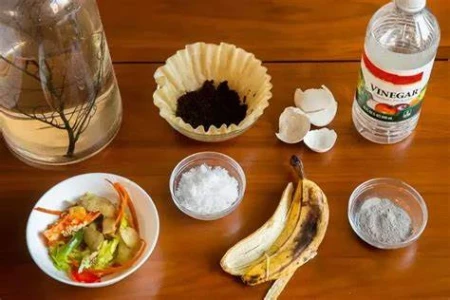 Best Ingredients For Palm Trees