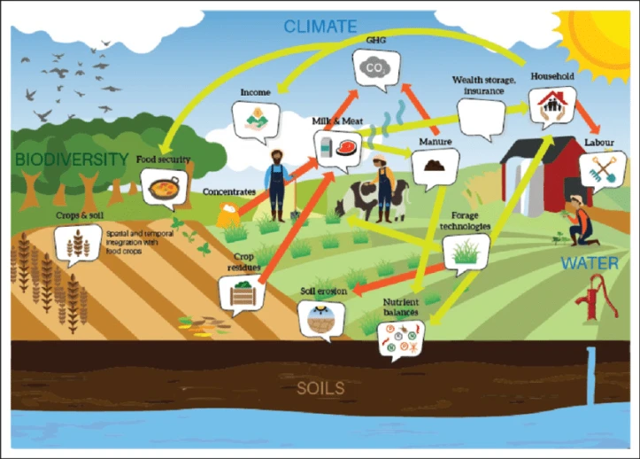 Challenges of Mixed Crop And Livestock Farming
