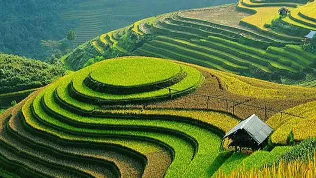 Cultivation Help In Conserving Soil