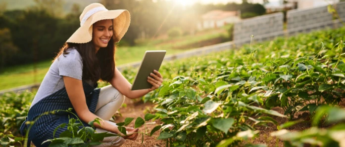Regenerative Farming