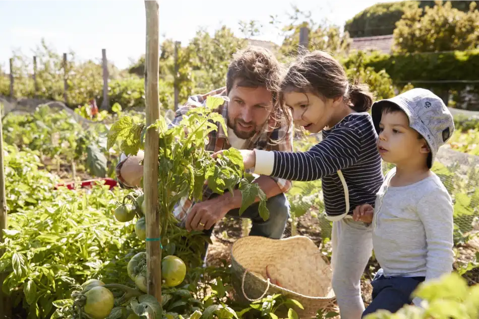 Growing Your Own Food