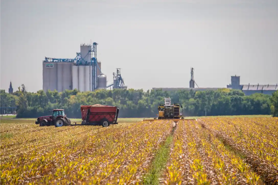 Industrialized agriculture