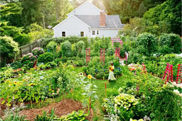 Permaculture Garden